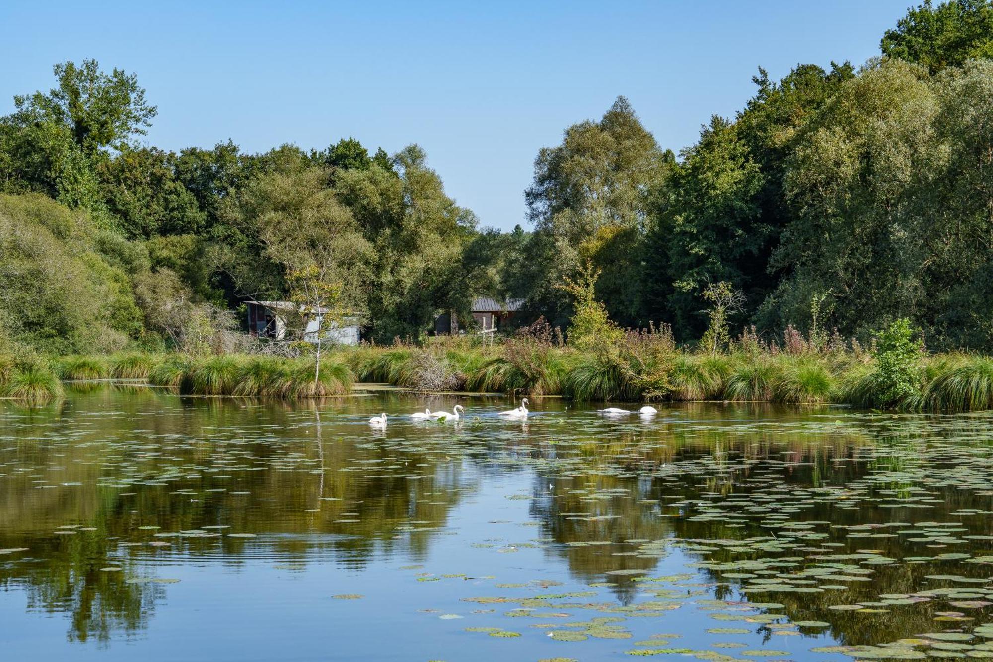 La Cabane Du Pont Du Douet Mazières-de-Touraine Exteriör bild